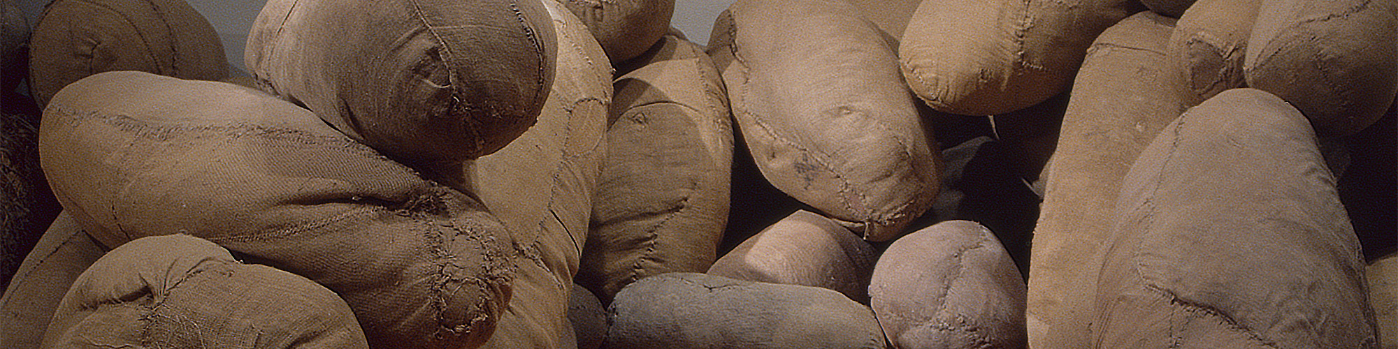 pasek z losowym zdjęciem